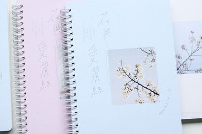 A5 coil notebook rollover horizontal line notepad (3)