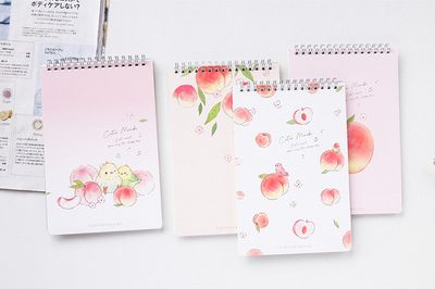 A5 notebook Student stationery Notepad (6)