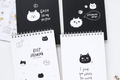 Flip blank coil creative notebook notepad (6)