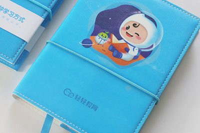 Mini hand ledger student notebook Diary & Journal (3)