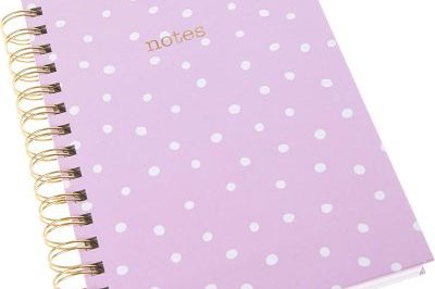 Lemons Spiral Bound Graphique Designer Notebooks (4)